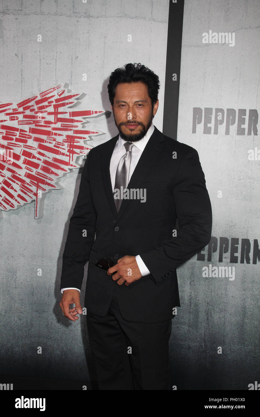 Los Angeles, USA. 28th Aug 2018. Sam Medina 08/28/2018 The World