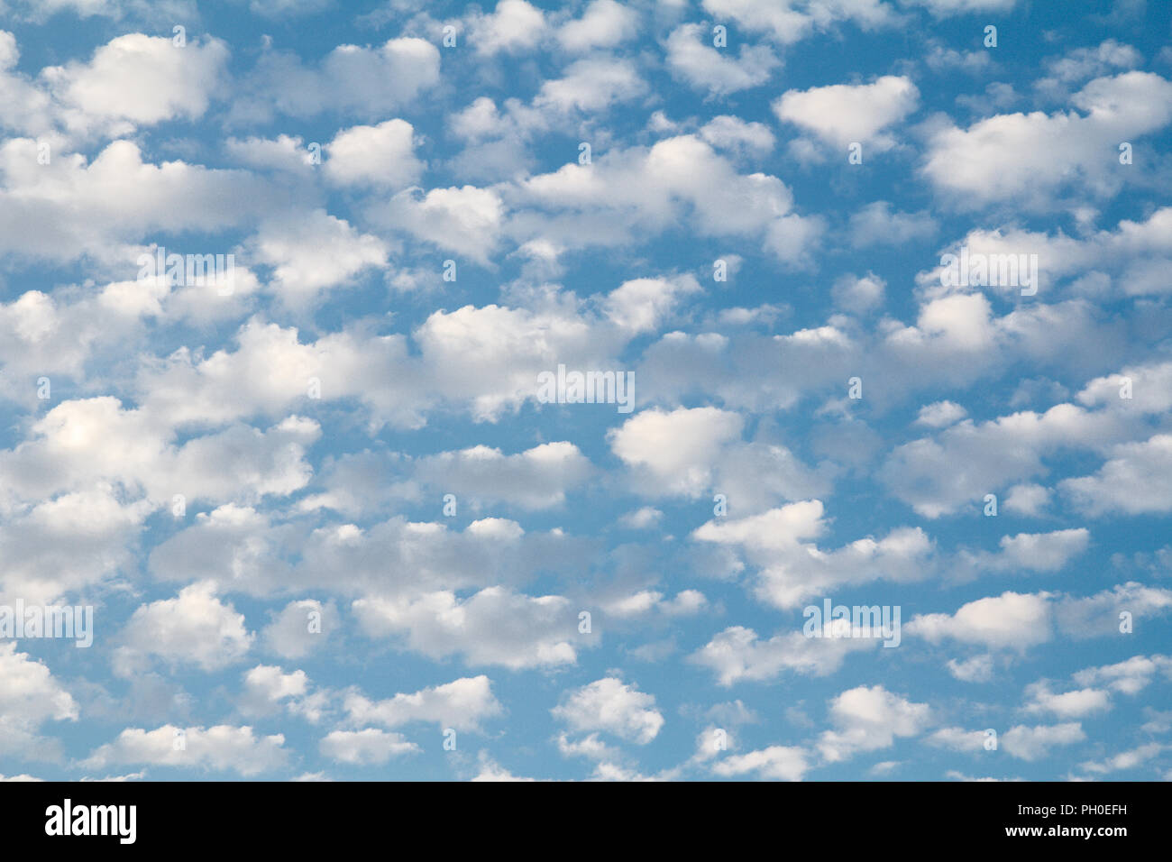 Cloudscape sky in sunny summer day. A lot of white cumulus clouds in ...