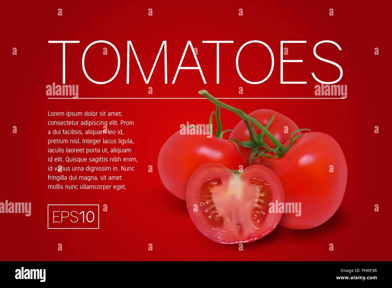 Three ripe red tomatoes on a branch Stock Vector Image & Art - Alamy
