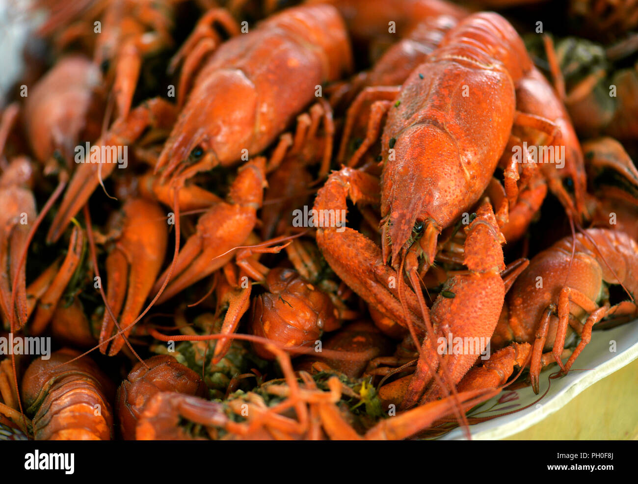 Boiled crayfish close-up, delicious food, diet food. Stock Photo