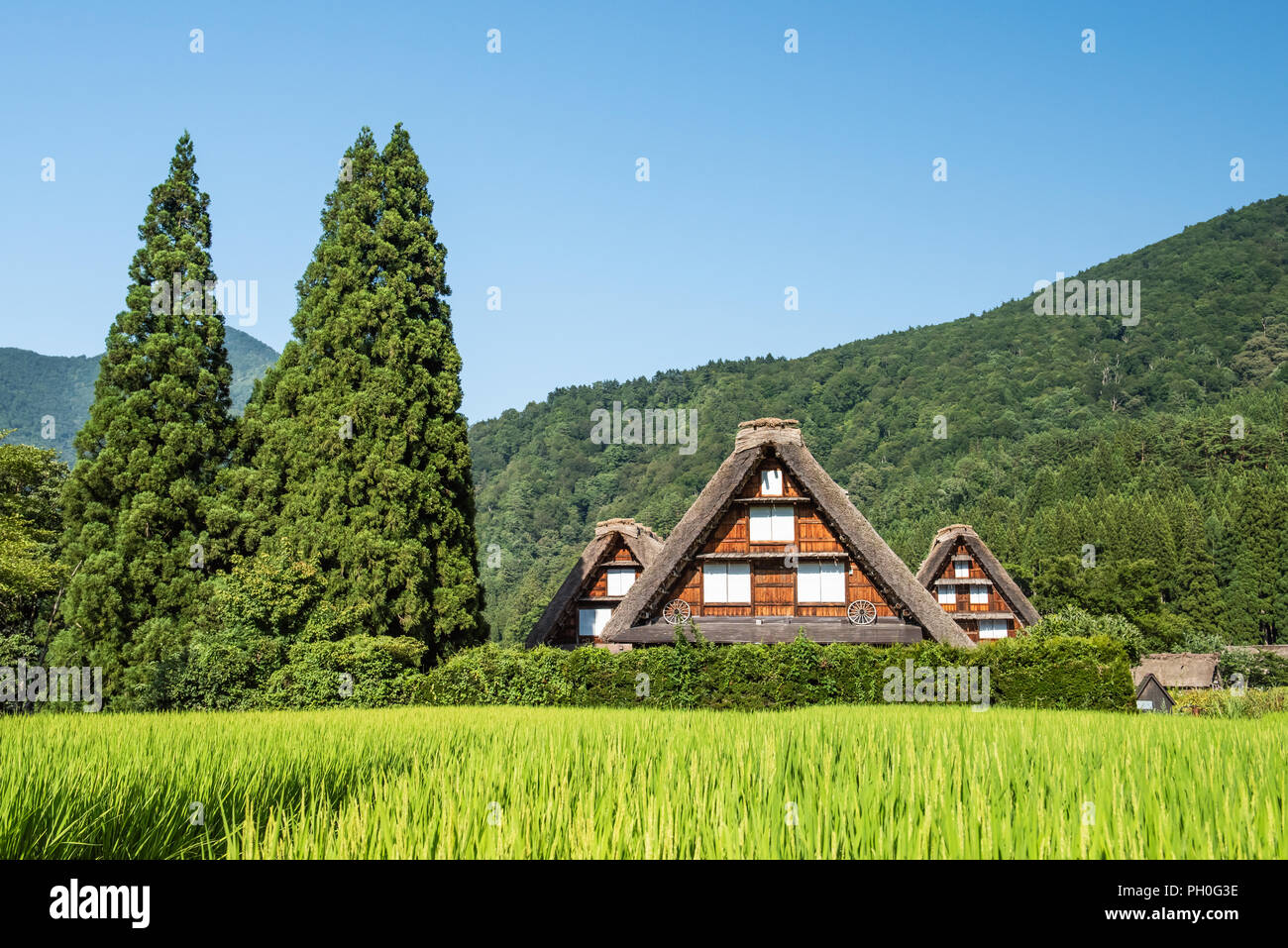 Historic Villages of Shirakawa-g and Gokayama, Shirakawa-mura, Gifu-ken, Japan, Asia, Eastern Asia Stock Photo