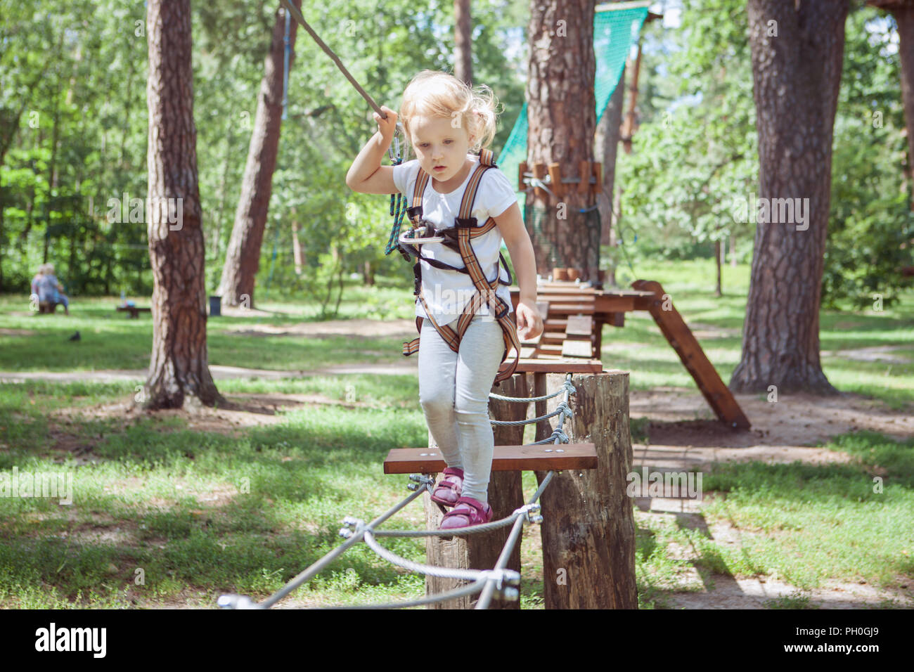 Child in forest adventure park. Kids climb on rope trail. Stock Photo