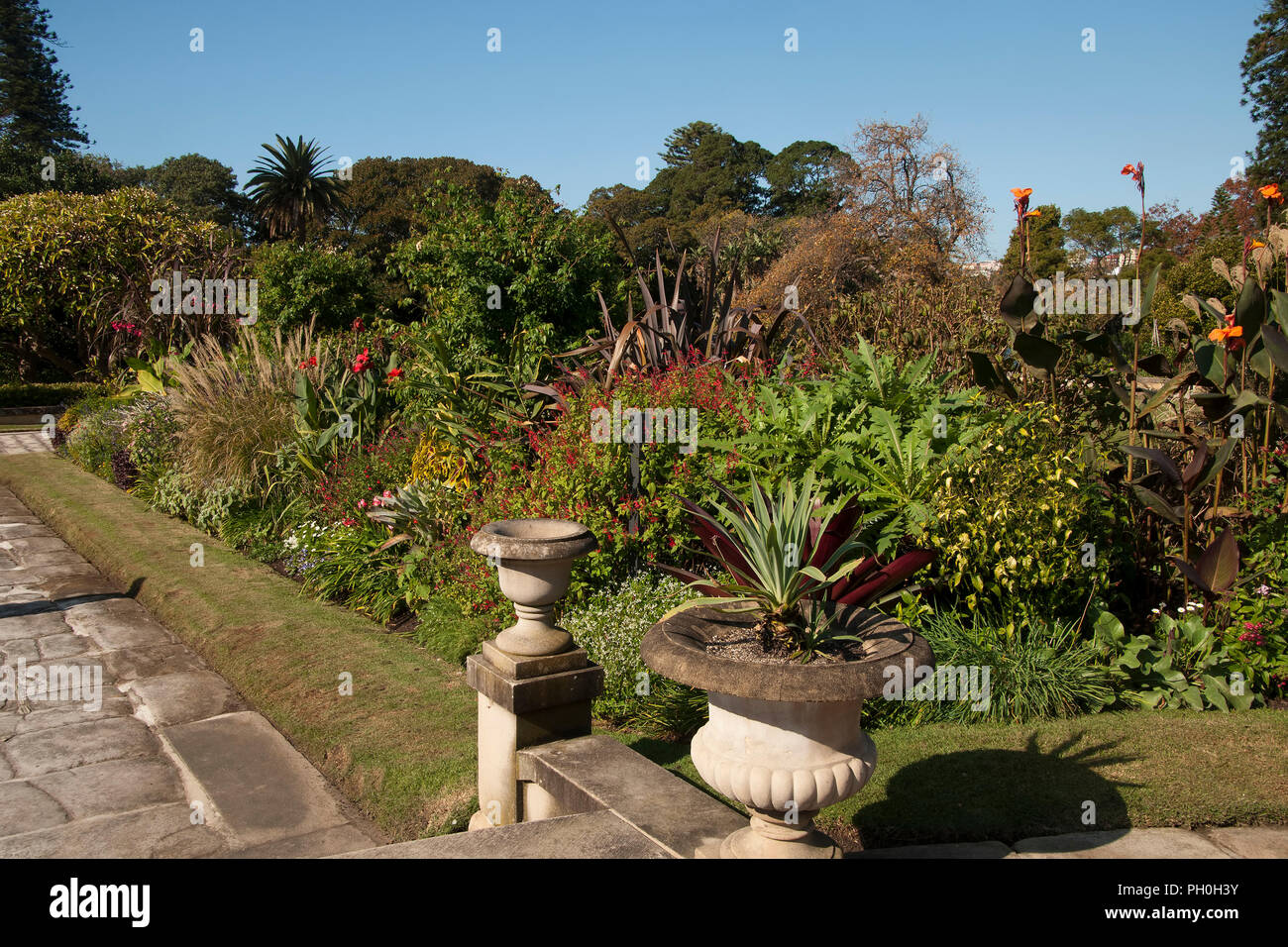 Sydney Australia, garden beds with autumn blooms Stock Photo Alamy