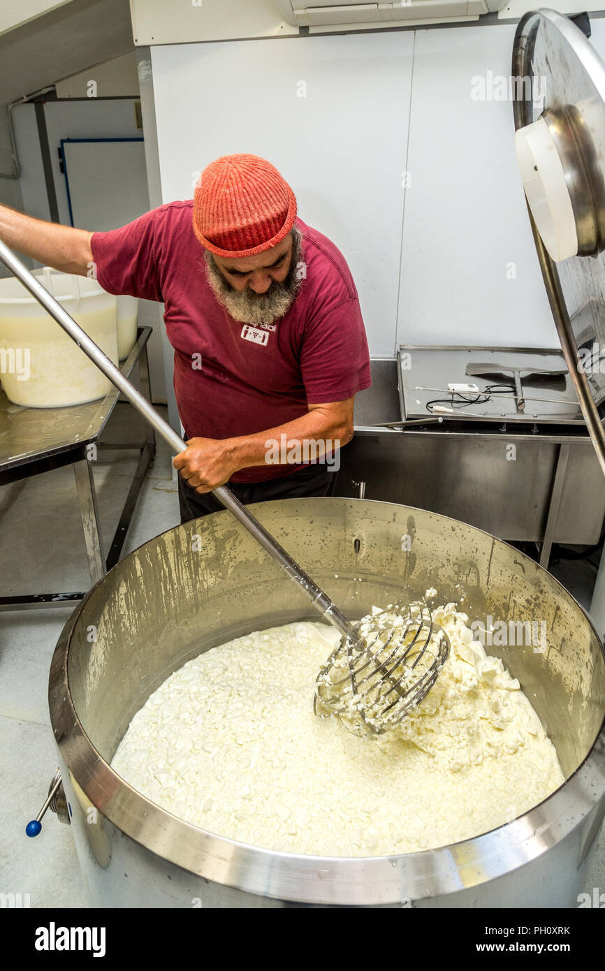 making pecorino cheese, .Abruzzo, italy Stock Photo Alamy