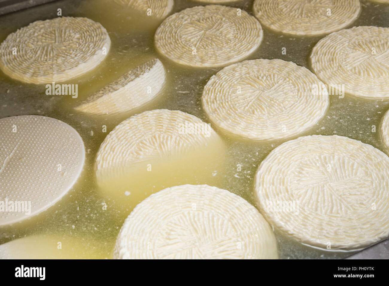 pecorino cheese in brine Stock Photo