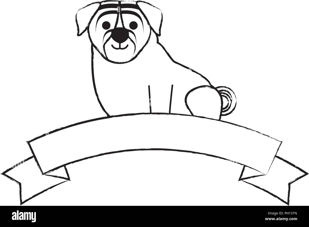 decorative ribbon with cute pug dog icon over white background, vector ...