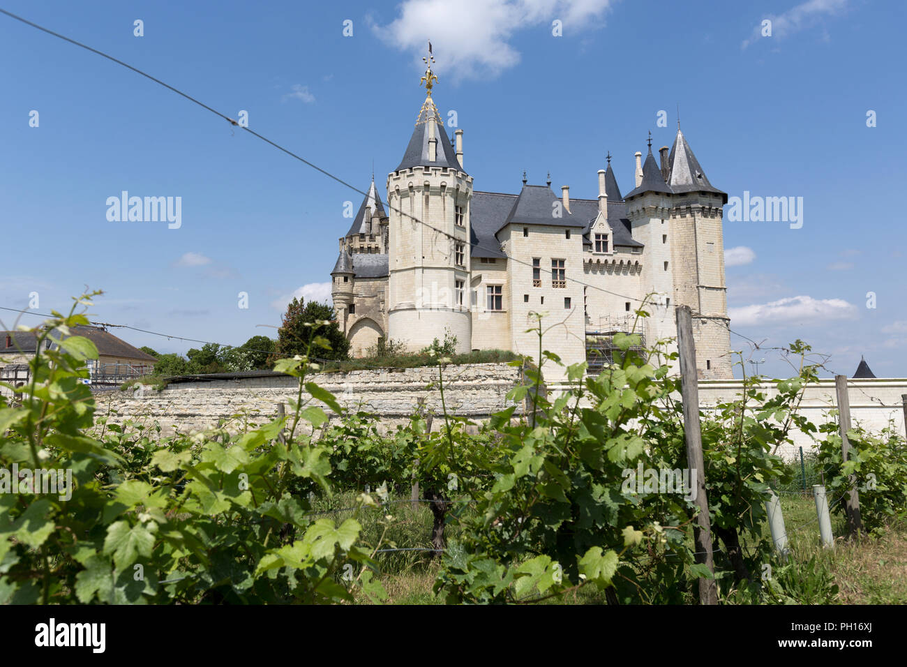 Town of Saumur, France. Picturesque view of the Chateau de Saumur which ...