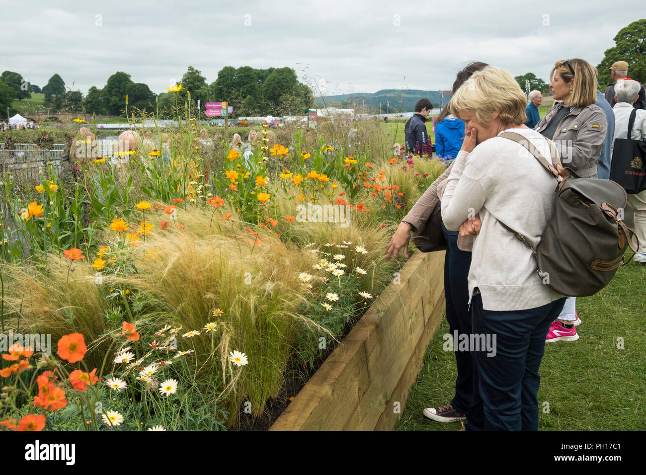 People view flowering plants in raised bed (Long Border competition) at busy rural showground - RHS Chatsworth Flower Show, Derbyshire, England, UK. Stock Photo