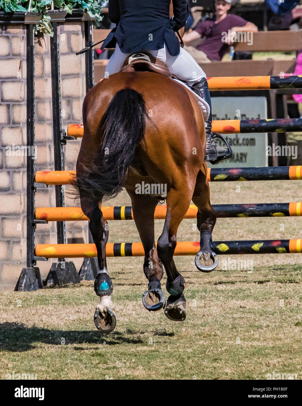 flying hooves at the showpark racing festival 1.45m Gold Tour Grand Prix Longines Ranking Class Stock Photo