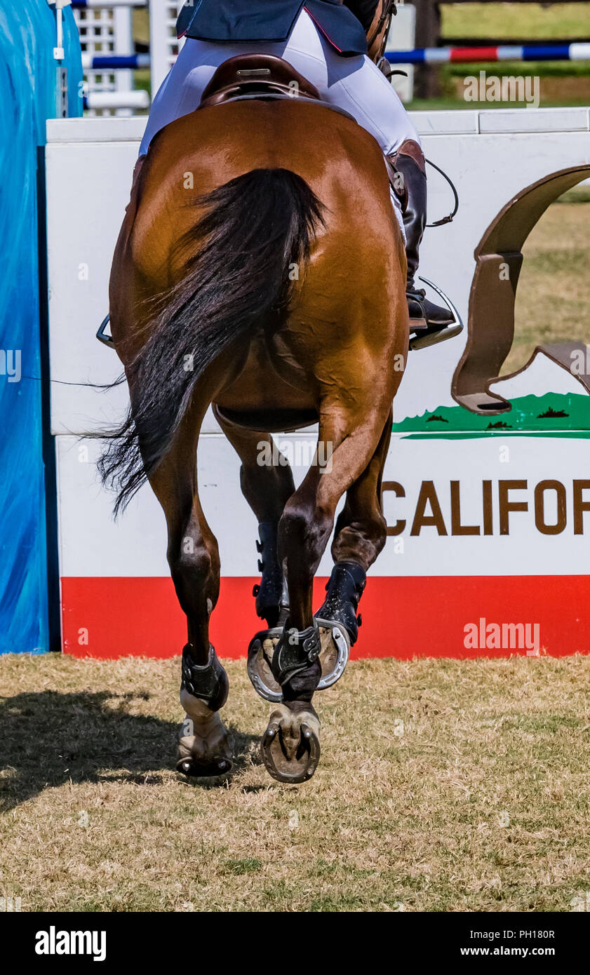 flying hooves at the showpark racing festival 1.45m Gold Tour Grand Prix Longines Ranking Class Stock Photo