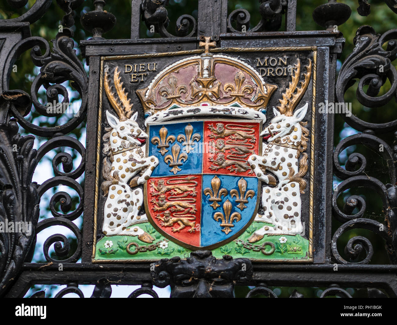 Kings College Cambridge Royal Coat of Arms of King Henry VI, founder of Kings College in 1441 Stock Photo