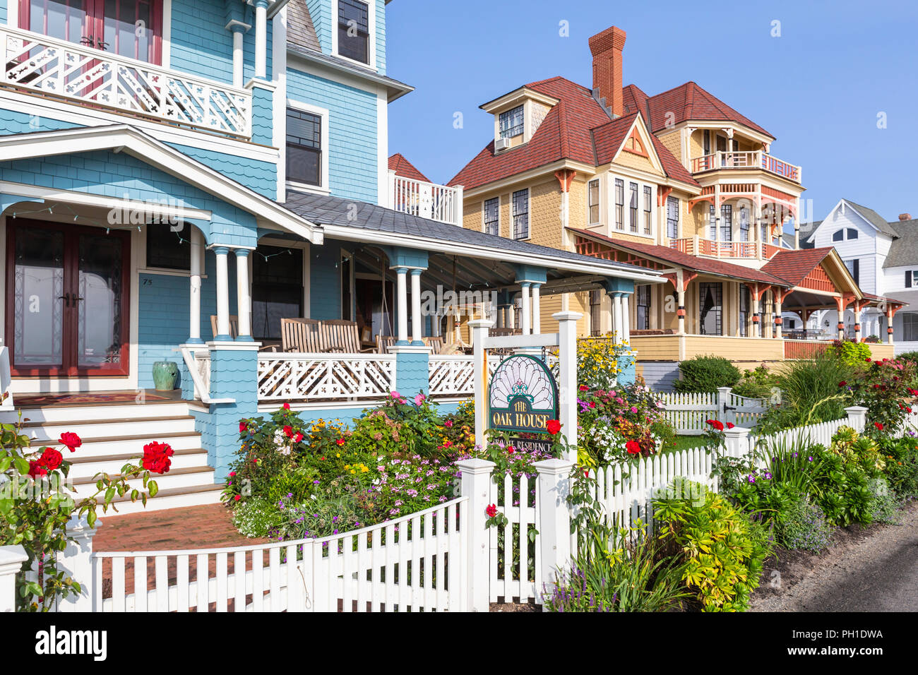 Colorfully painted Victorian houses, including the Oak House, serve as B&Bs on Seaview Avenue in Oak Bluffs Massachusetts on Martha's Vineyard. Stock Photo