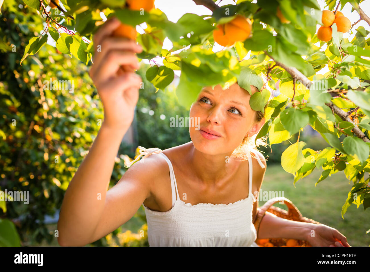 Девушка с абрикосами