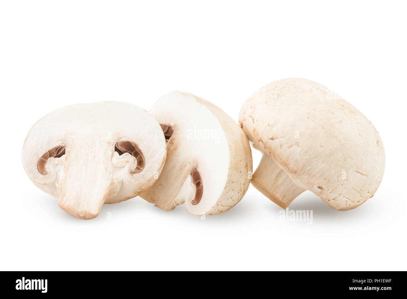 mushroom, champignon, isolated on white background, clipping path, full depth of field Stock Photo