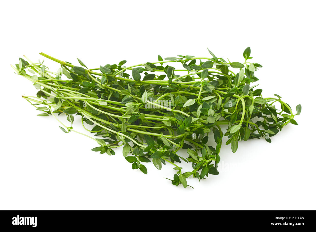 thyme isolated on white background Stock Photo