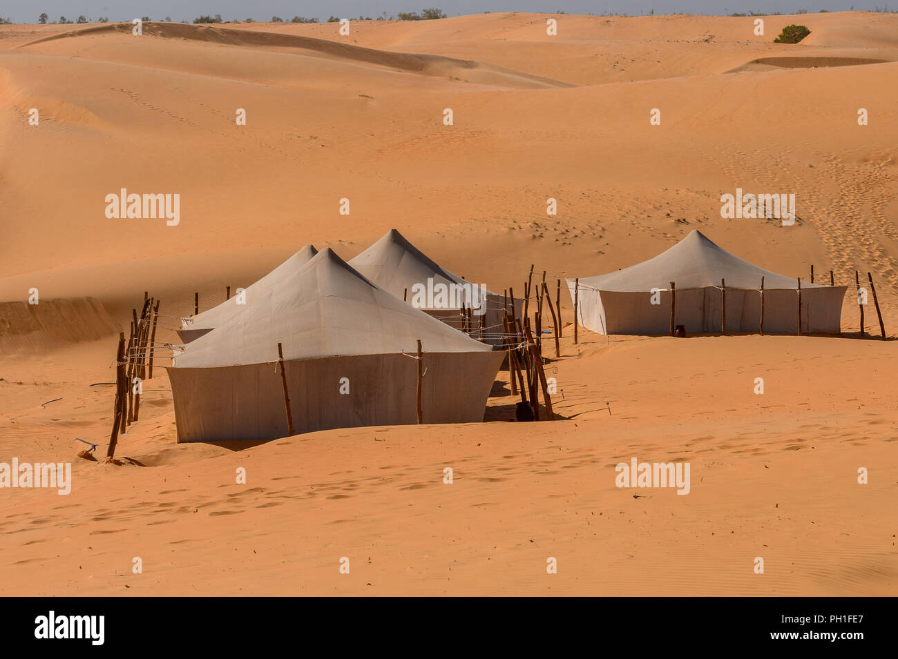 Tents in the desert Stock Photo Alamy