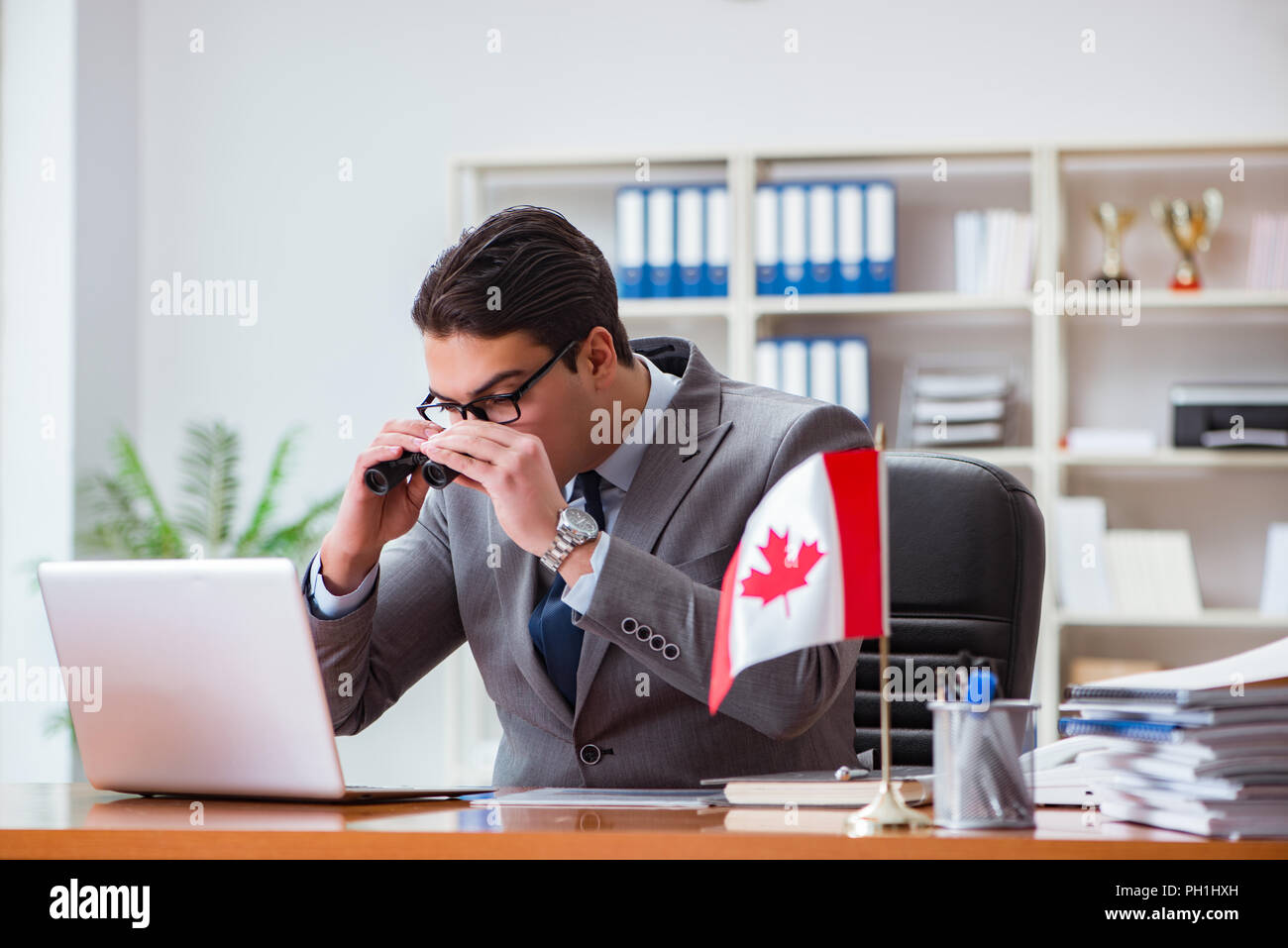 Businessman with Canadian flag in office Stock Photo - Alamy