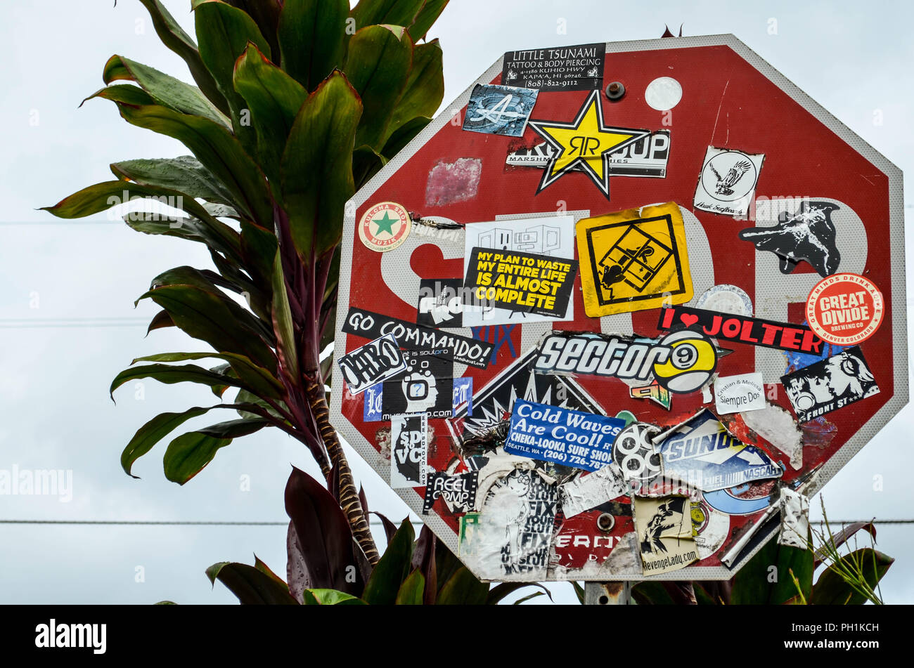 A stop sign in Kauai (Hawaii, USA) obscured with stickers, and surrounded by tropical foliage. Stock Photo