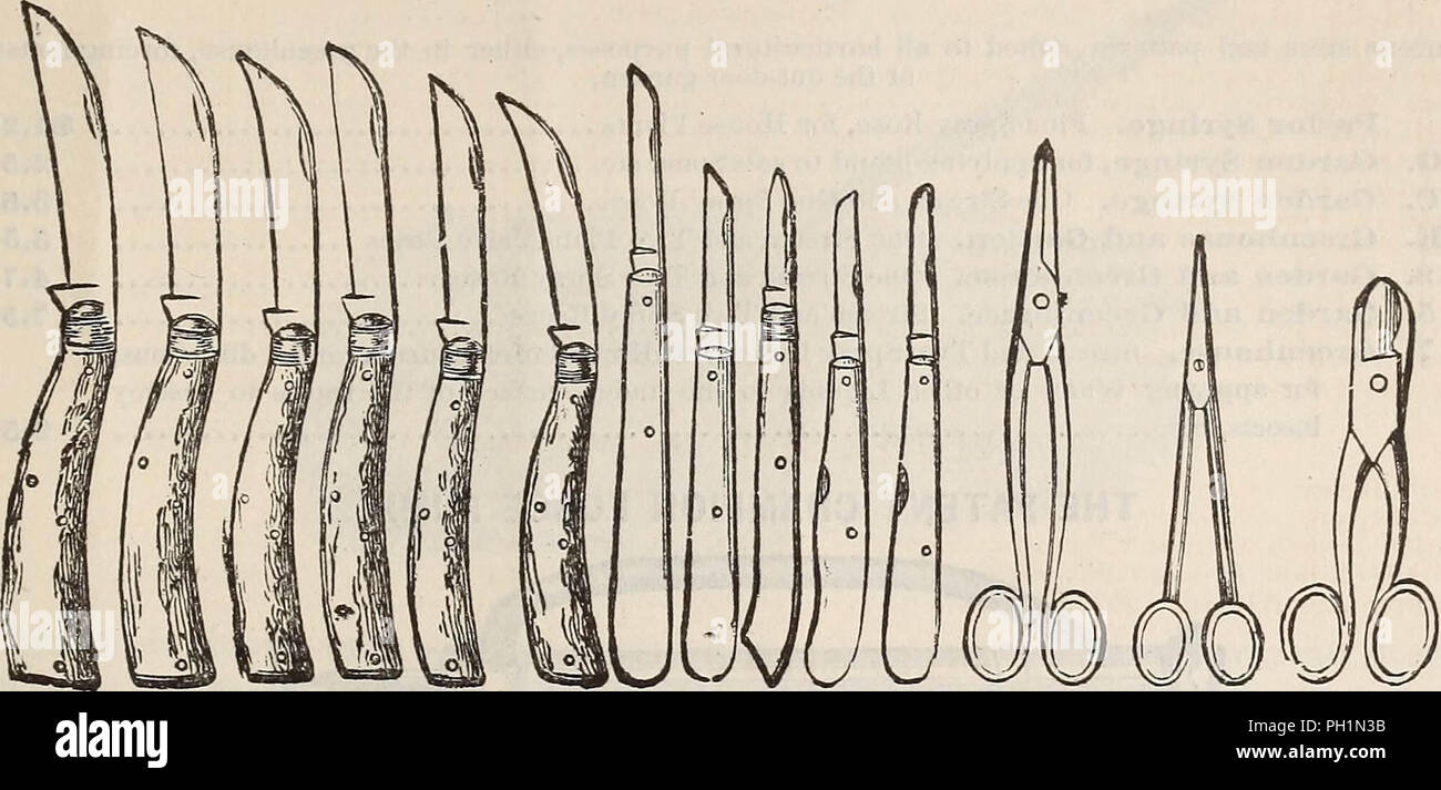 "Hovey & Co's illustrated seed catalogue for 1882" (1882) Stock Photo