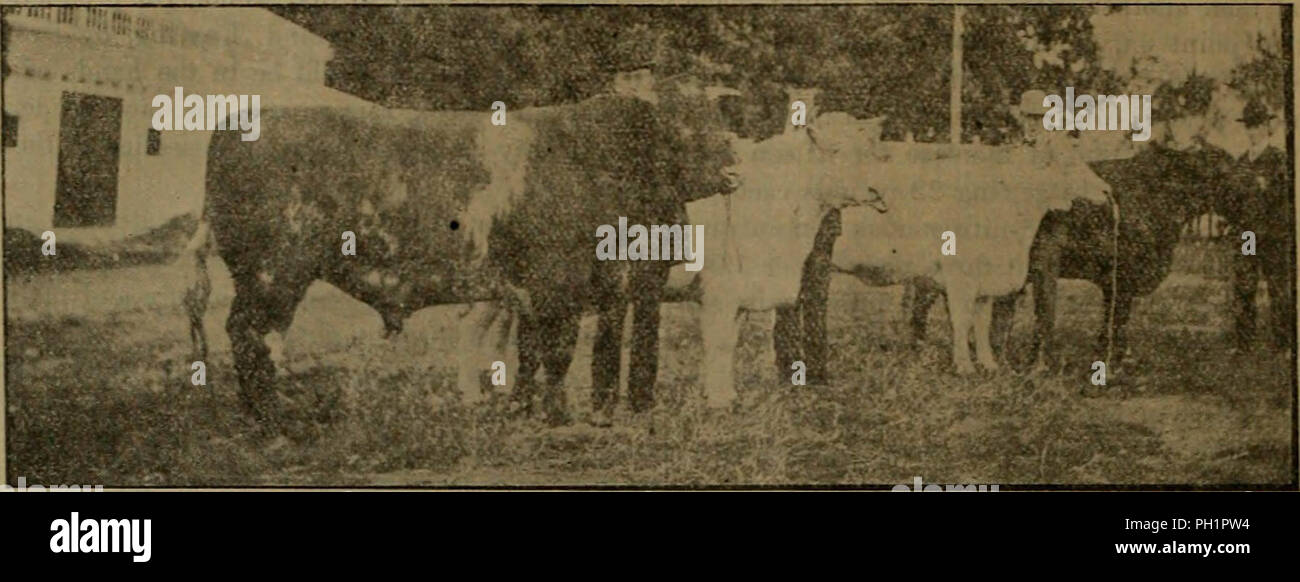 "The Southern planter" (1882 Stock Photo Alamy