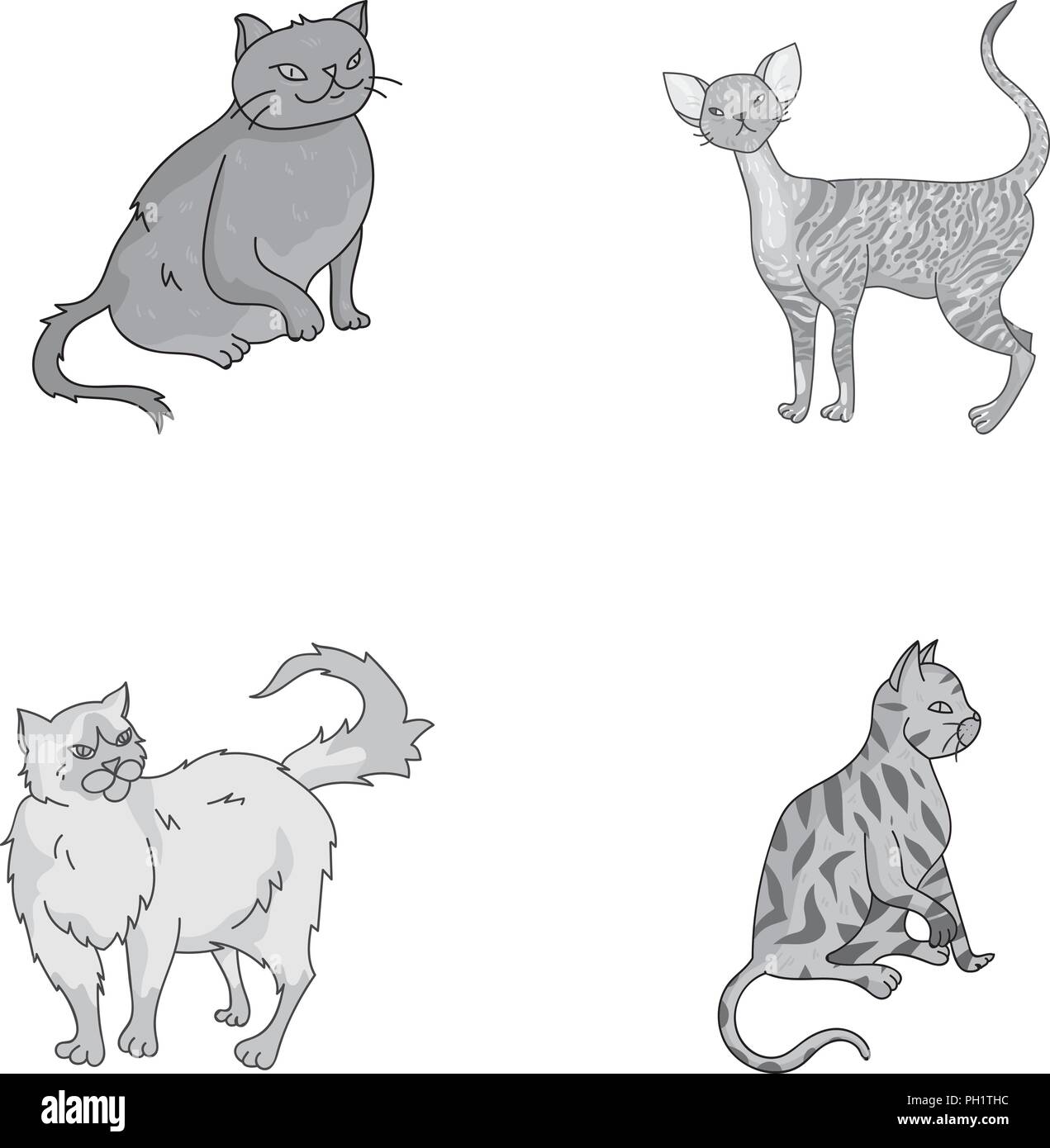 American Animals Breeds Cat Chocolate Collection Cornish Cute Friend Home Icon Illustration Isolated Logo Monochrome Nice Other Persian Rex Set Shorthair Sign Symbol Types Vector Web York Vector Vectors Stock Vector Image Art Alamy
