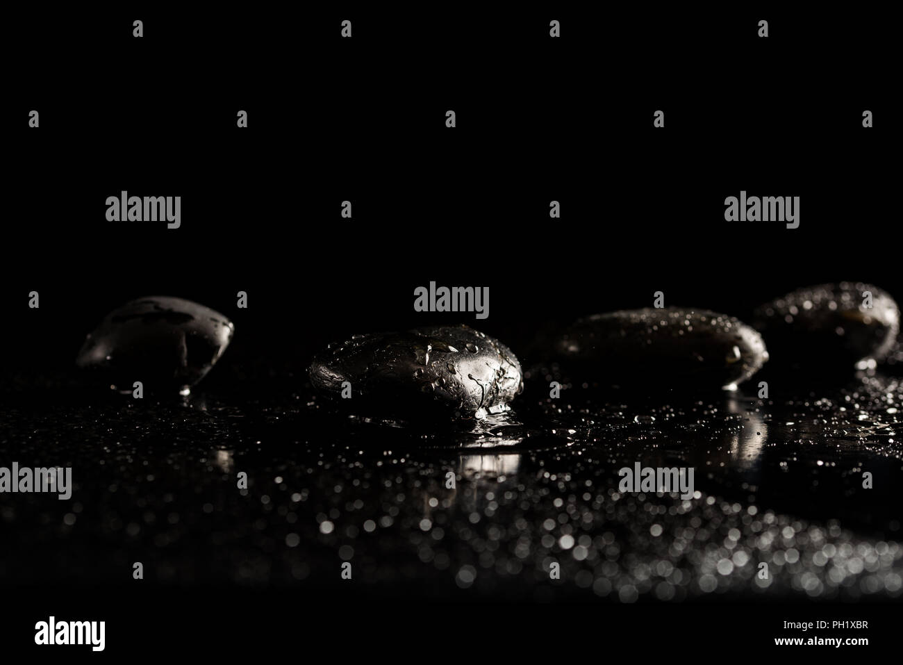 Among the Stones of Darkness