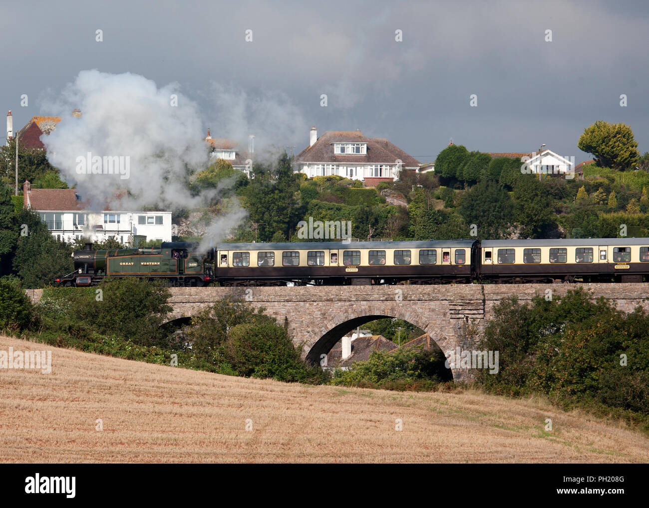 5239 Goliath High Resolution Stock Photography and Images - Alamy