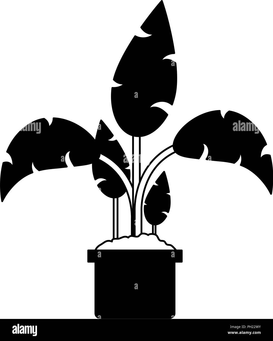 Plant pot isolated in black and white Stock Vector Image & Art - Alamy
