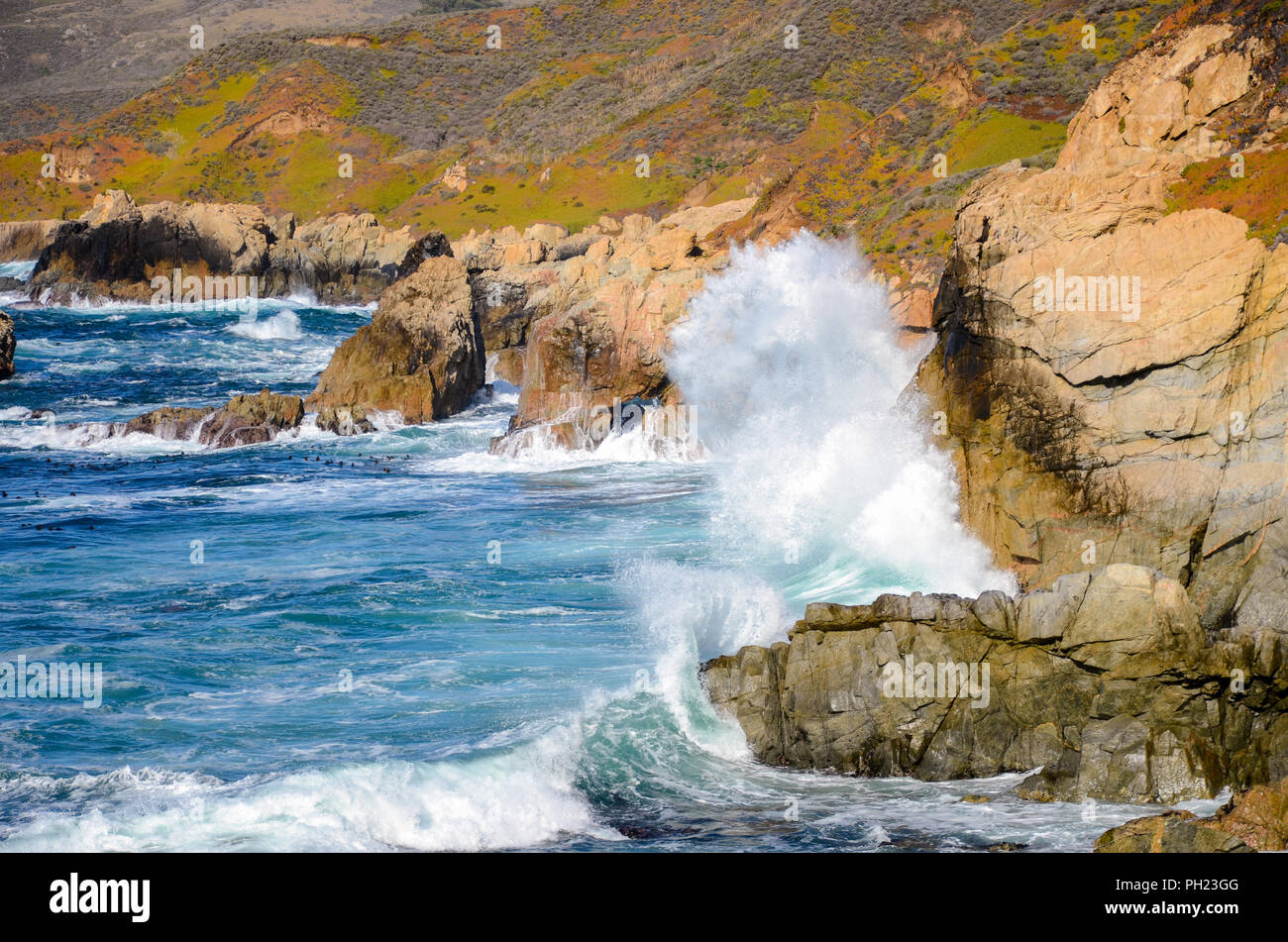 Huge wave breaking on cliffs along the beautiful Pacific Coast Highway in California at Garrapata State Park in Big Sur near Carmel and Monterey Stock Photo