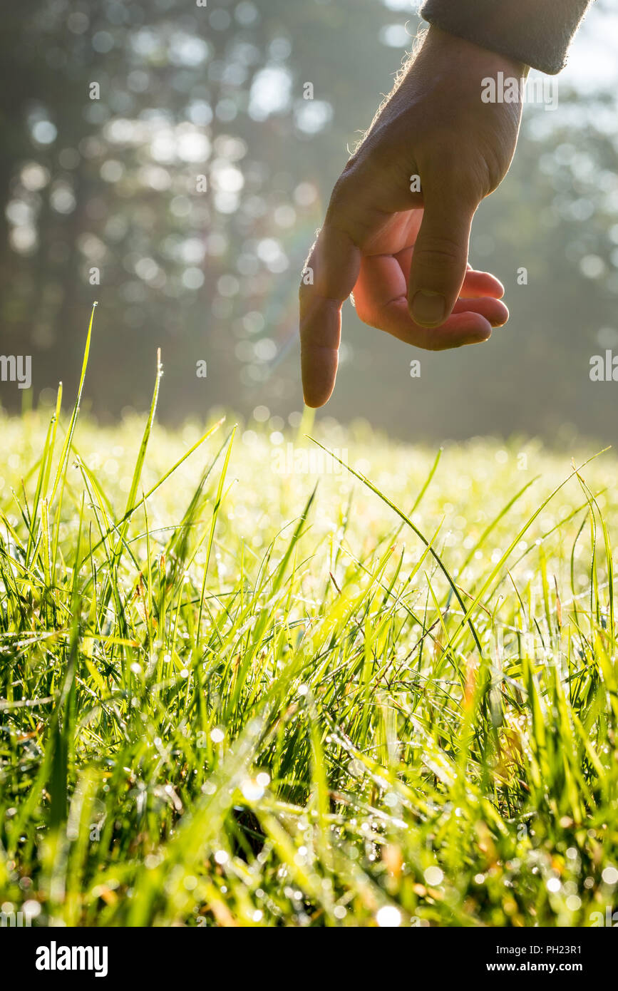 Touching the grass Stock Photo - Alamy