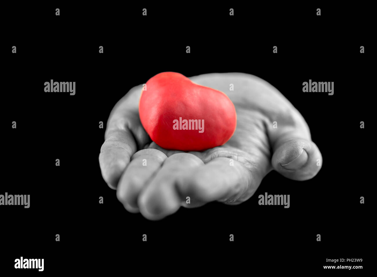 Man making the gift of Love to his sweetheart on Valentines Day offering a red heart in his outstretched hand, greyscale image with selective red colo Stock Photo