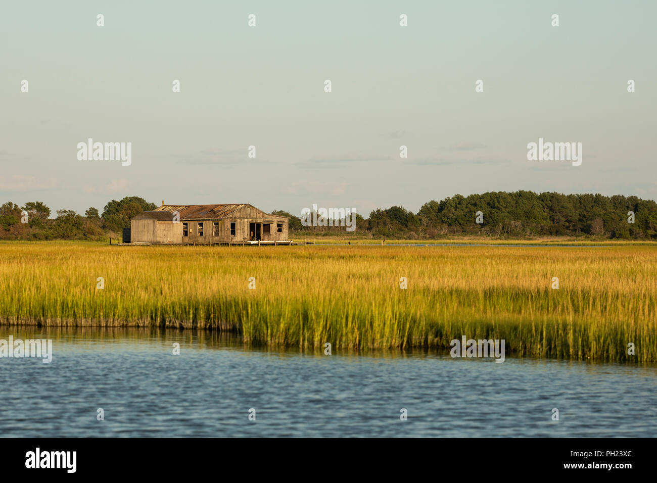 An abandoned cabin among salt marsh cordgrass (Spartina alterniflora) in the salt marshes on the western side of Chincoteague Island, Virginia, USA. Stock Photo