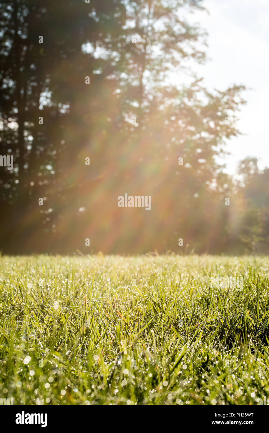 Warm sun rays hi-res stock photography and images - Alamy