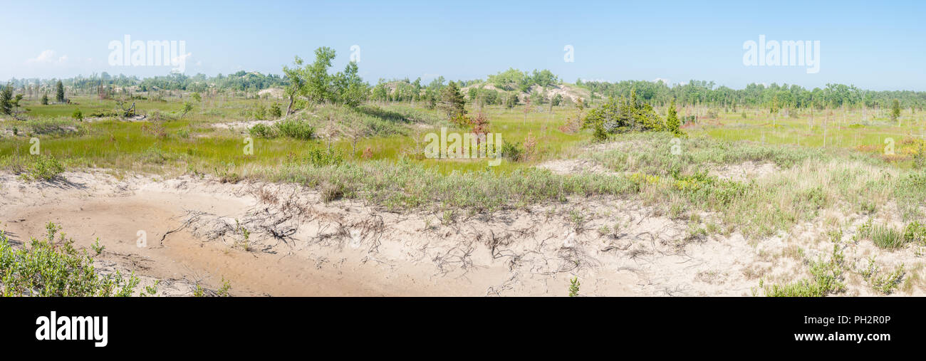 Sand dunes at Sandbanks Provincial Park, Prince Edward County, Canada Stock Photo