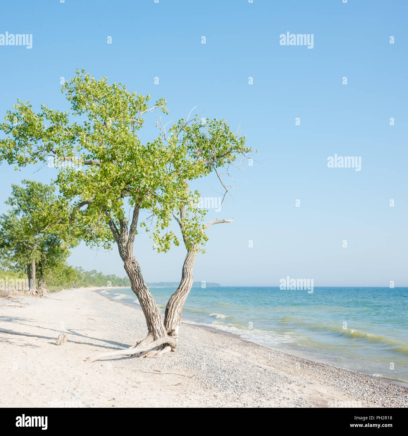 Sandbanks Provincial Park, Prince Edward County, Ontario, Canada Stock