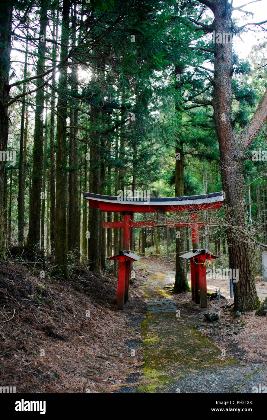 Photo shows the red torii gate marking the entrance to Asama Shrine in Nebara, Fujinomiya City, Shizuoka Prefecture Japan on 22 March 2013. Around 1,3 Stock Photo