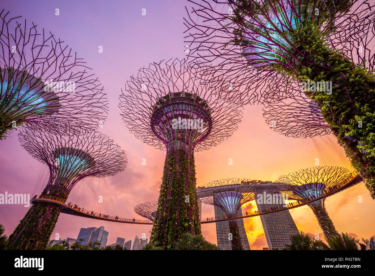 Gardens by the Bay with supertree in singapore Stock Photo