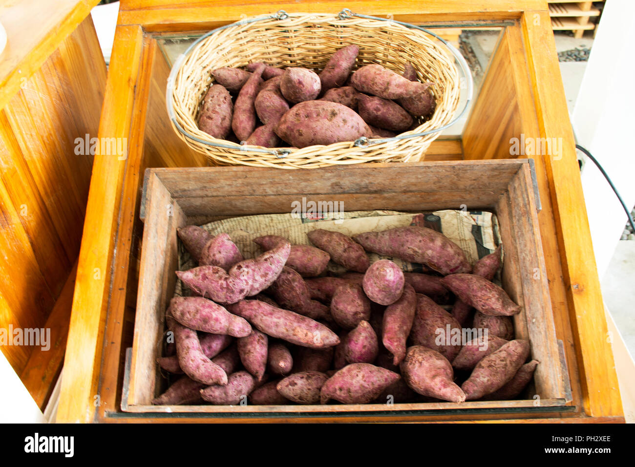 Purple yam tuber or violet sweet potato for sale at greengrocer and vegetable shop Stock Photo