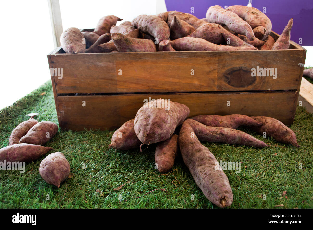 Purple yam tuber or violet sweet potato for sale at greengrocer and