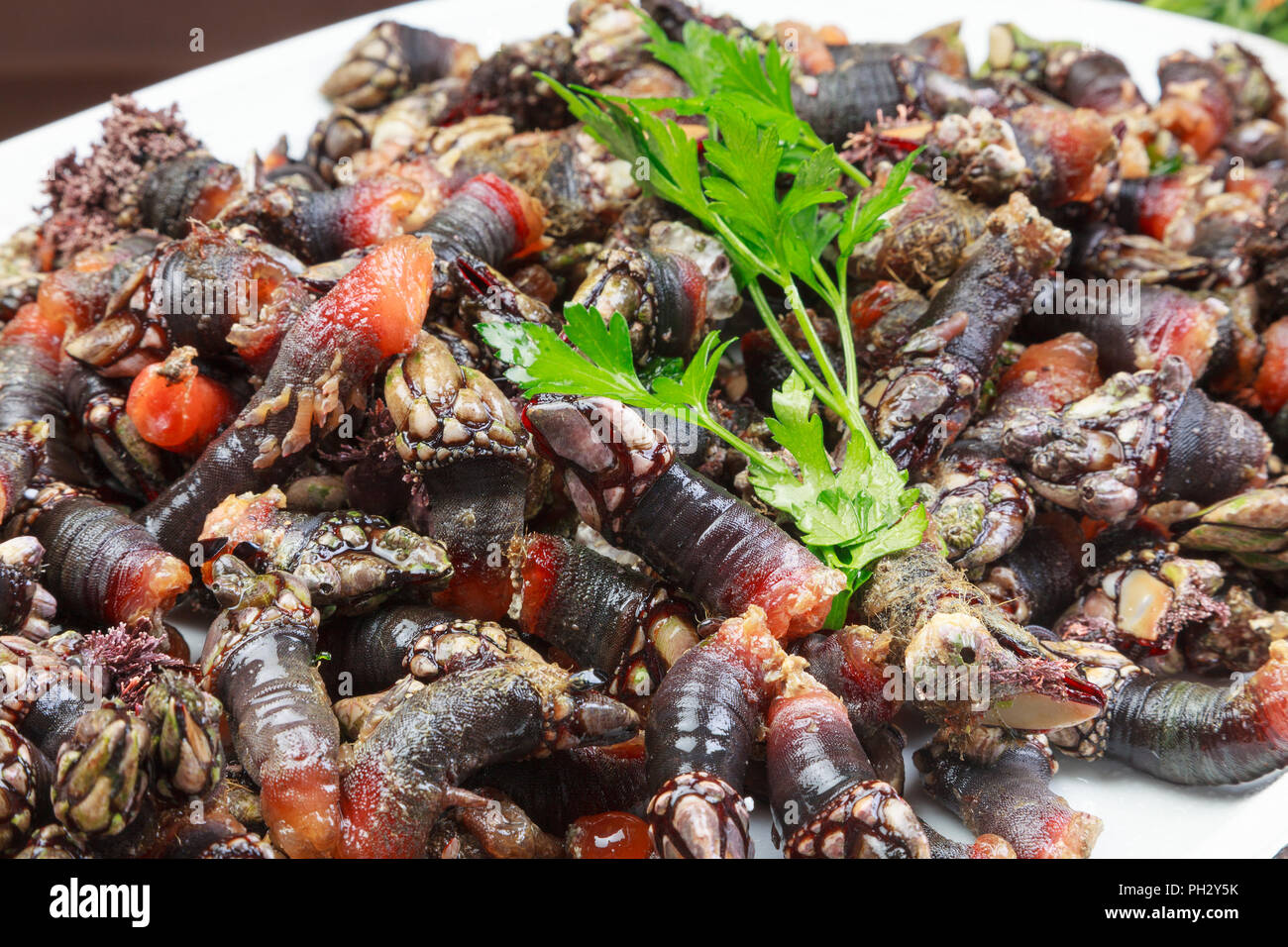 Fresh barnacles at background hi-res stock photography and images - Alamy