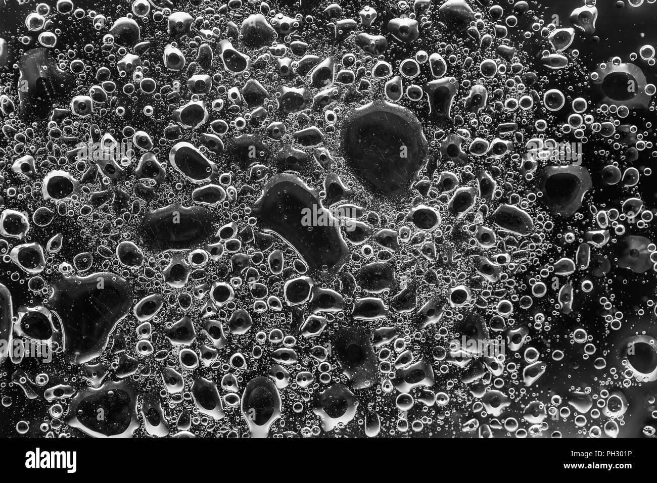 Black And White Macro Photography Water