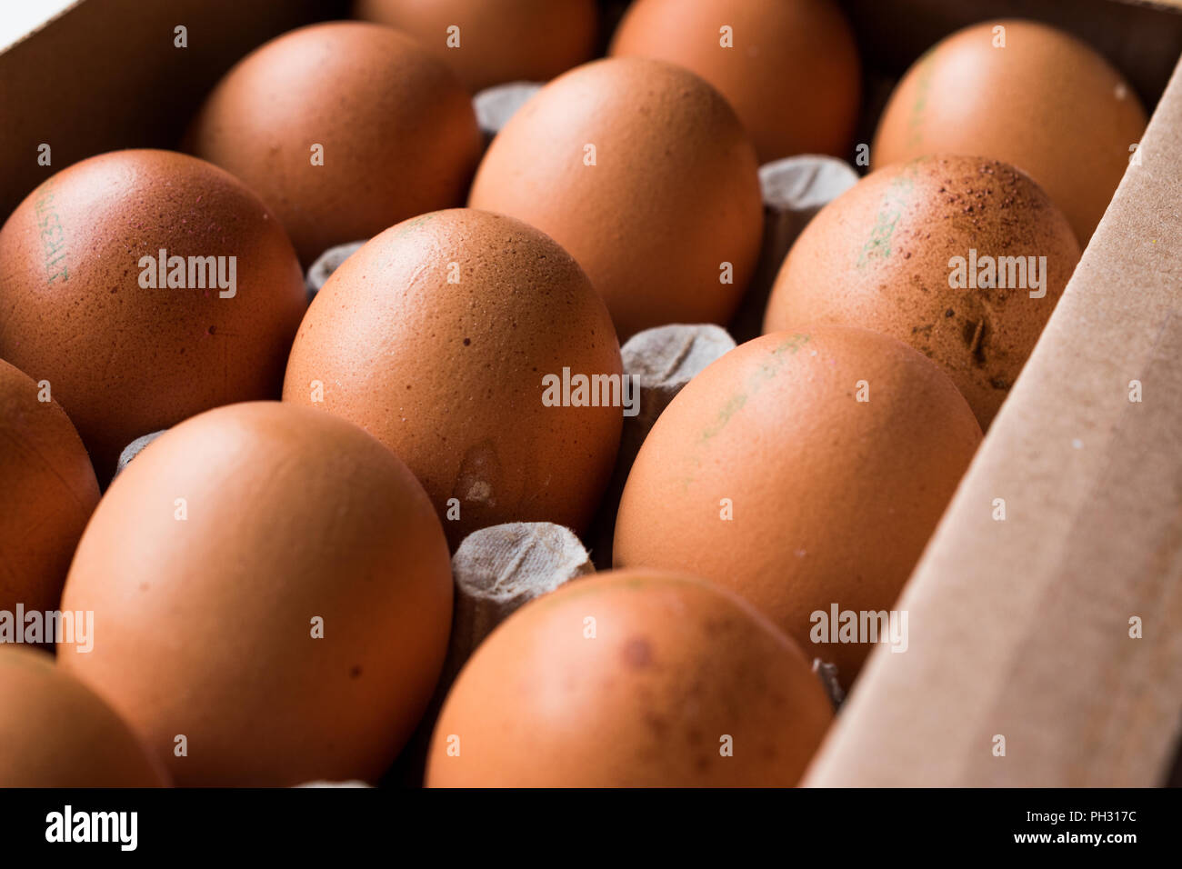 Marking Code Numbers Printed on Egg with Package / Container