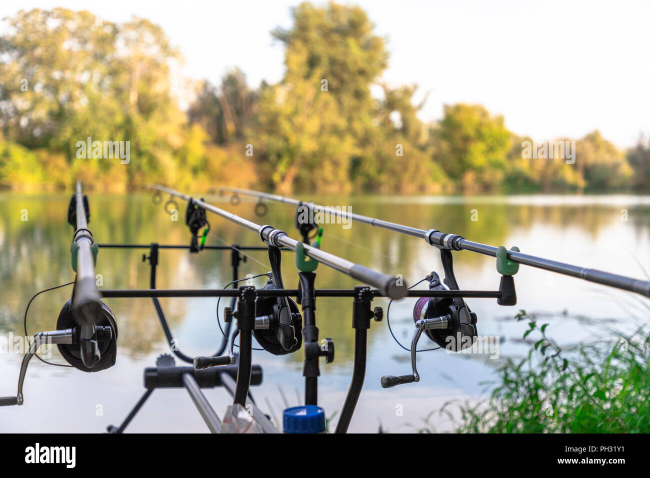 Carp fishing rods on a lake on a sunny day Stock Photo - Alamy