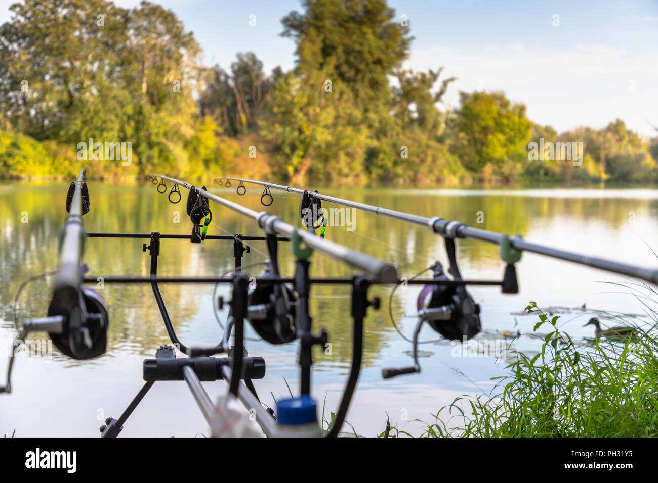 Carp fishing reel hi-res stock photography and images - Alamy