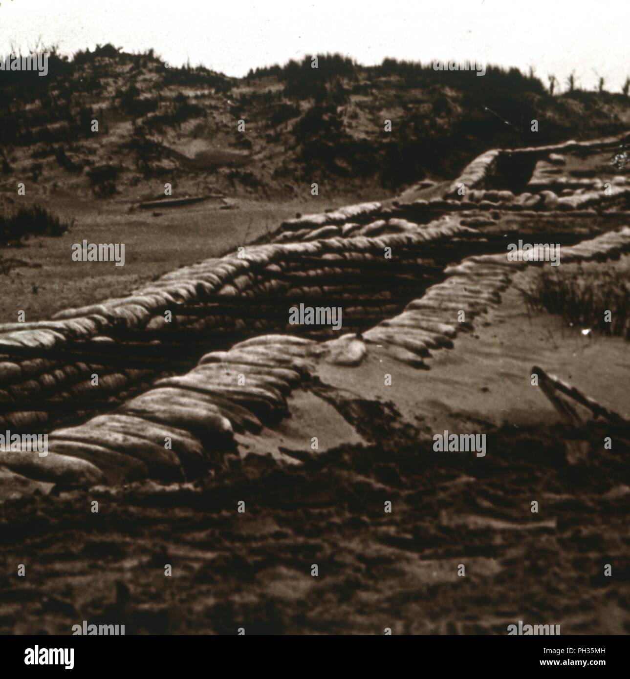Trenches in the shelter of the dunes, Nieuwpoort, Flanders, Belgium, c1914-c1918. Artist: Unknown. Stock Photo
