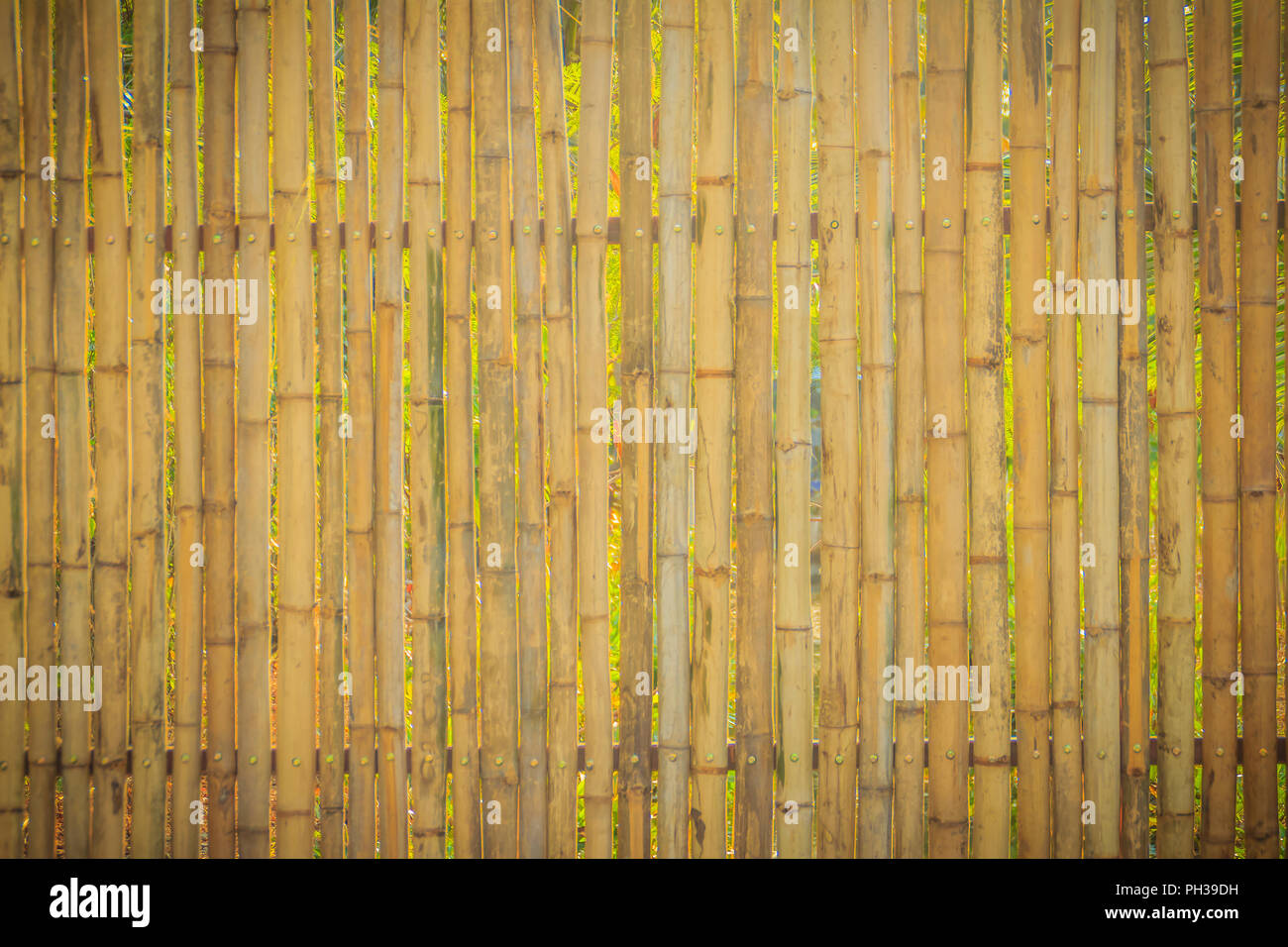 Bamboo and boundary fence hires stock photography and images Alamy