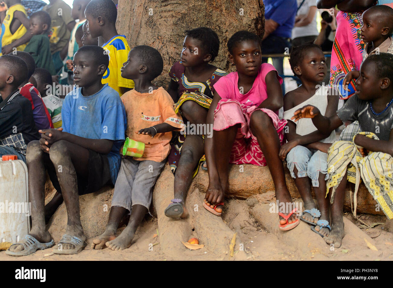 Benin forest hi-res stock photography and images - Alamy