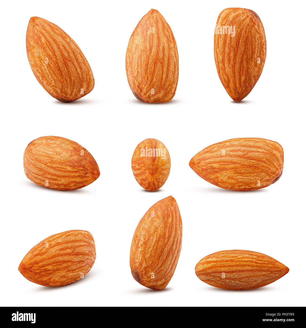Almondcollective