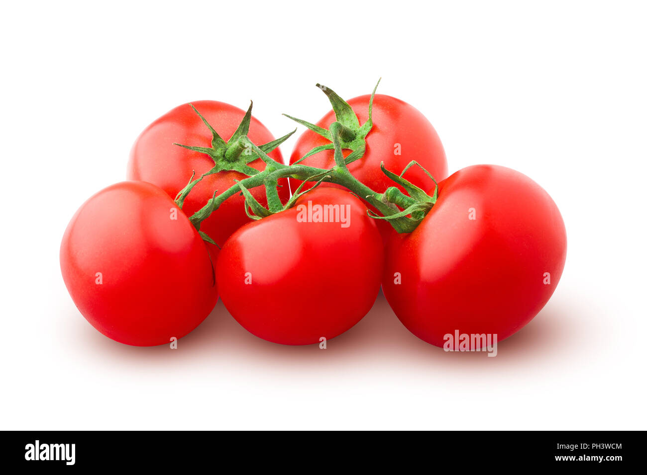 tomato on branch, isolated on white background, clipping path, full depth of field Stock Photo