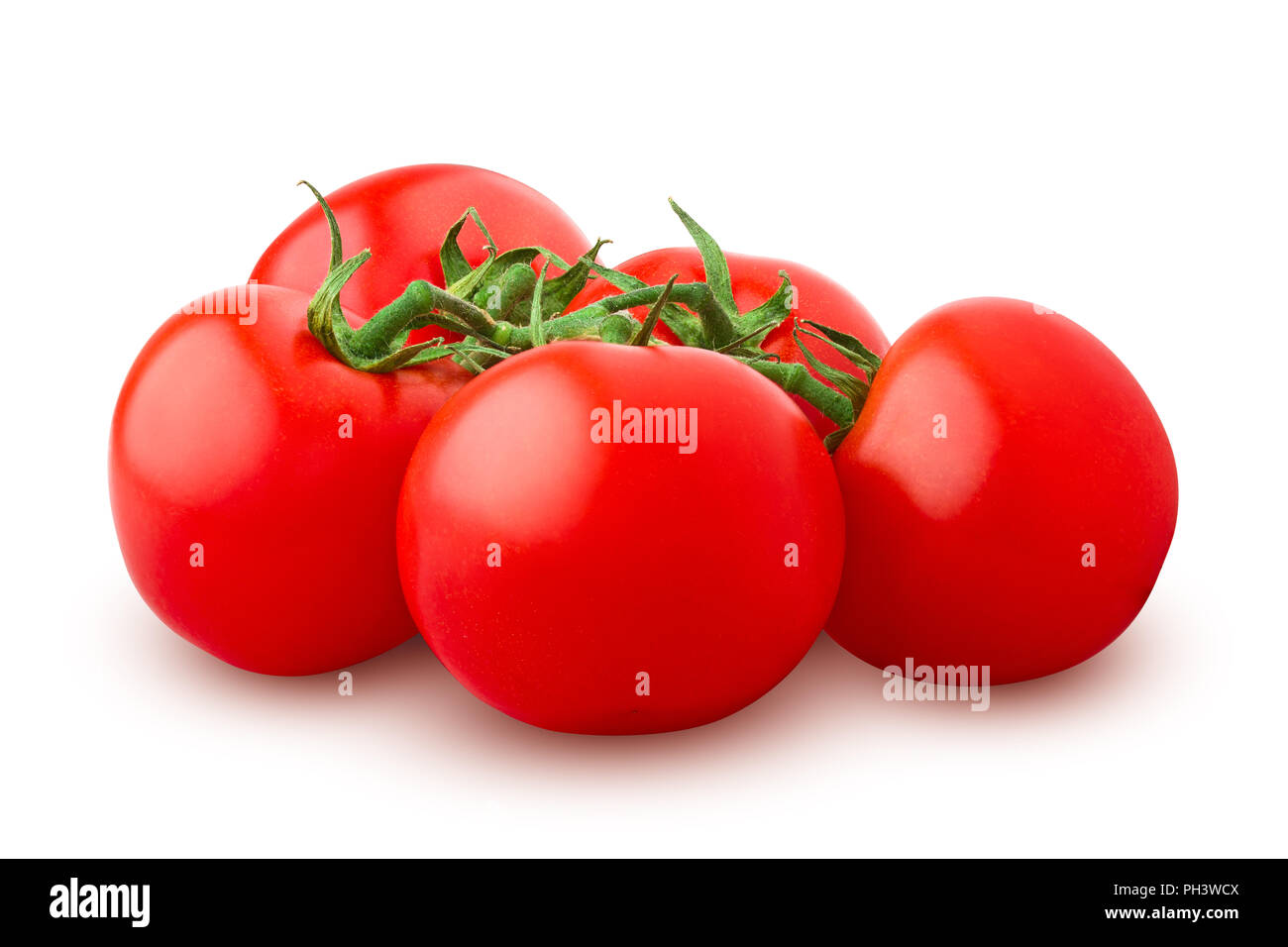 tomato on branch, isolated on white background, clipping path, full depth of field Stock Photo